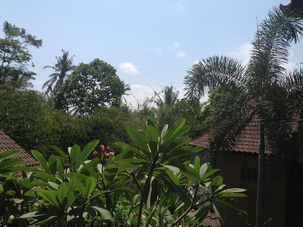 Ubud Rooms B&B Номер фото