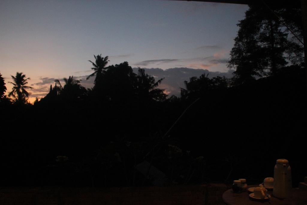Ubud Rooms B&B Екстер'єр фото