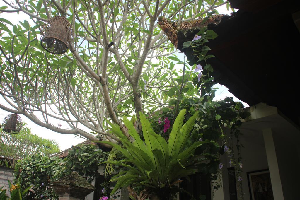 Ubud Rooms B&B Екстер'єр фото